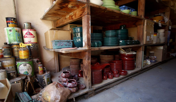 Treasures revealed in a midtown backyard